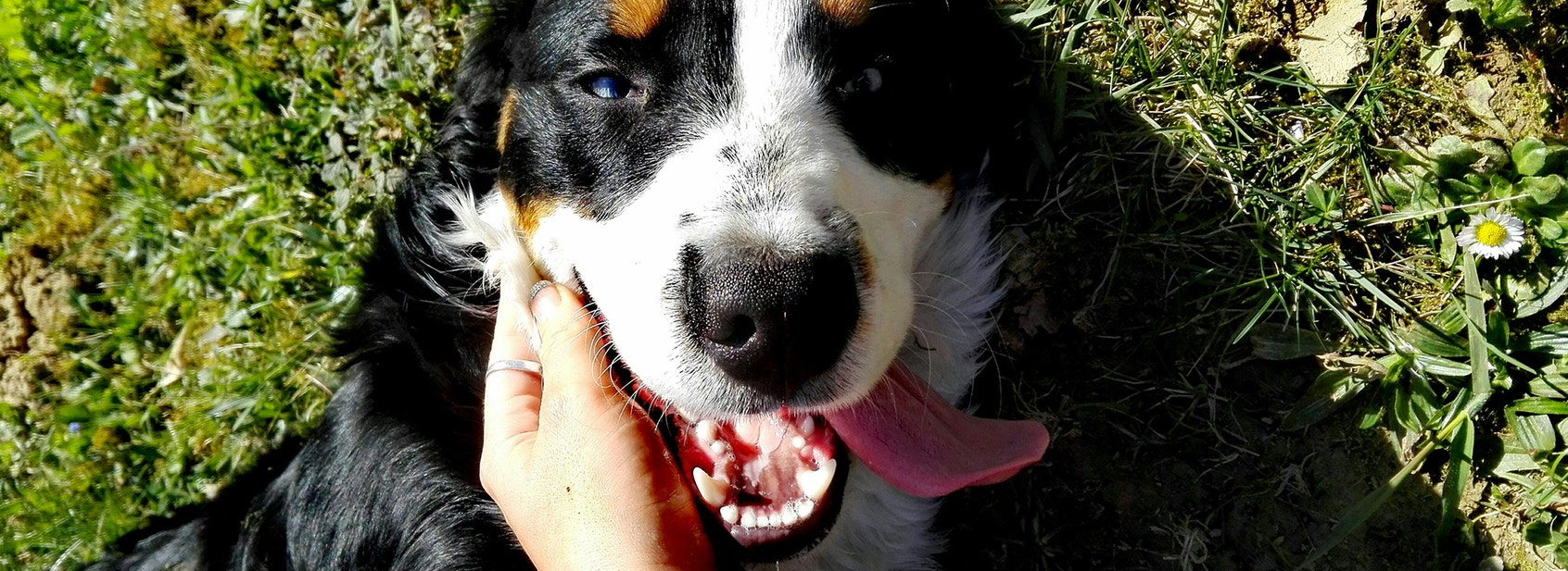 How To Keep Treating Healthy