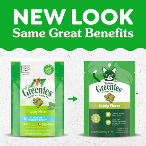 FELINE GREENIES™ Catnip Dental Cat Treats 60g image 1