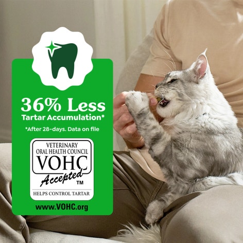 FELINE GREENIES™ Savoury Salmon Dental Cat Treats 60g image 1