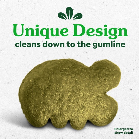 FELINE GREENIES™ Savoury Salmon Dental Cat Treats 60g image 1