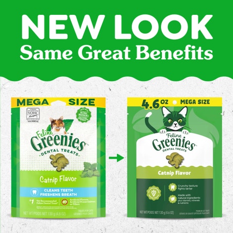 FELINE GREENIES™ Catnip Dental Cat Treats 130g image 1