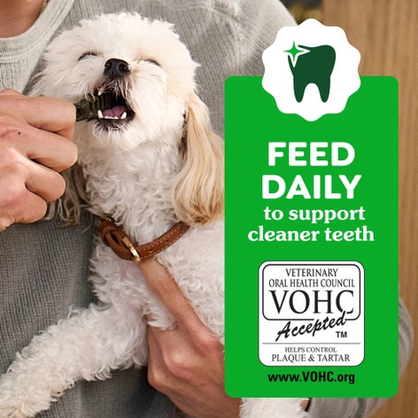 GREENIES™ Sweet Potato Dental Dog Treats 340g (8 Treats) image 1