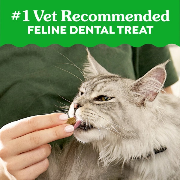 FELINE GREENIES™ Savoury Salmon Dental Cat Treats 60g image 7