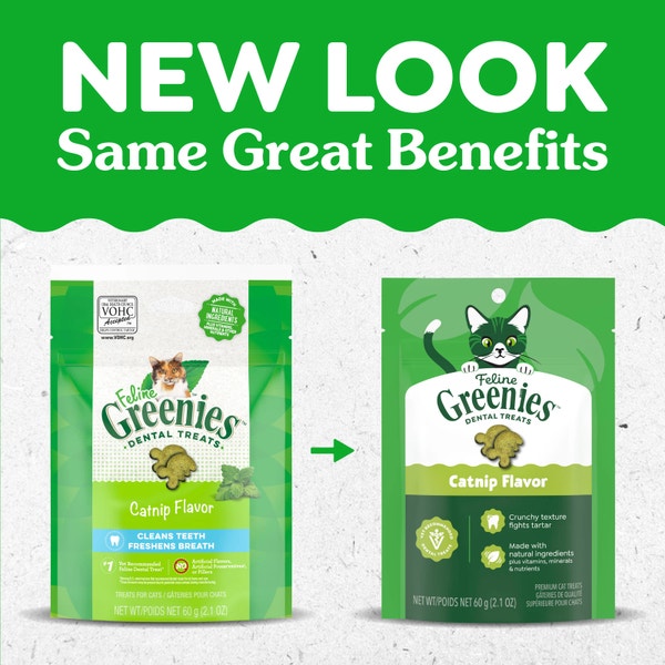 FELINE GREENIES™ Catnip Dental Cat Treats 60g image 3